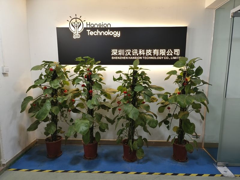Shenzhen Hansion Technology Co., Ltd.