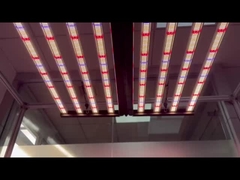 800w led bar grow light