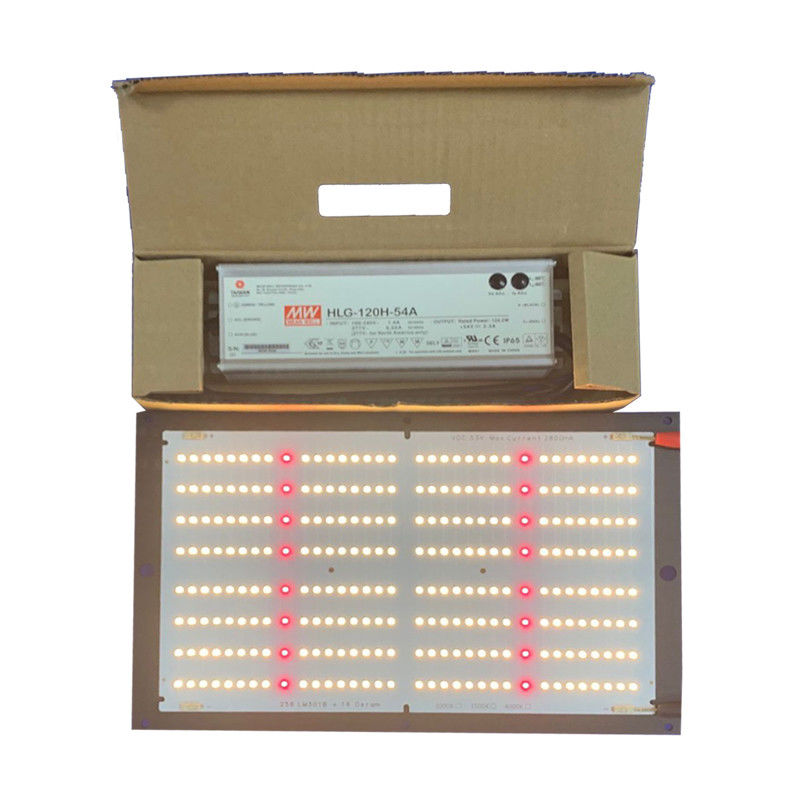 Custom Spectrum 288LED Quantum Board Led Grow Light 48-130W 2x1FT Coverage